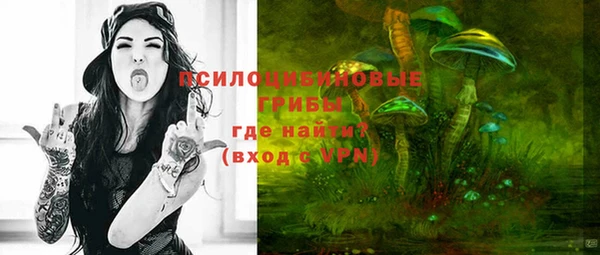 стафф Абаза
