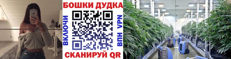МАРИХУАНА SATIVA & INDICA  Яранск 